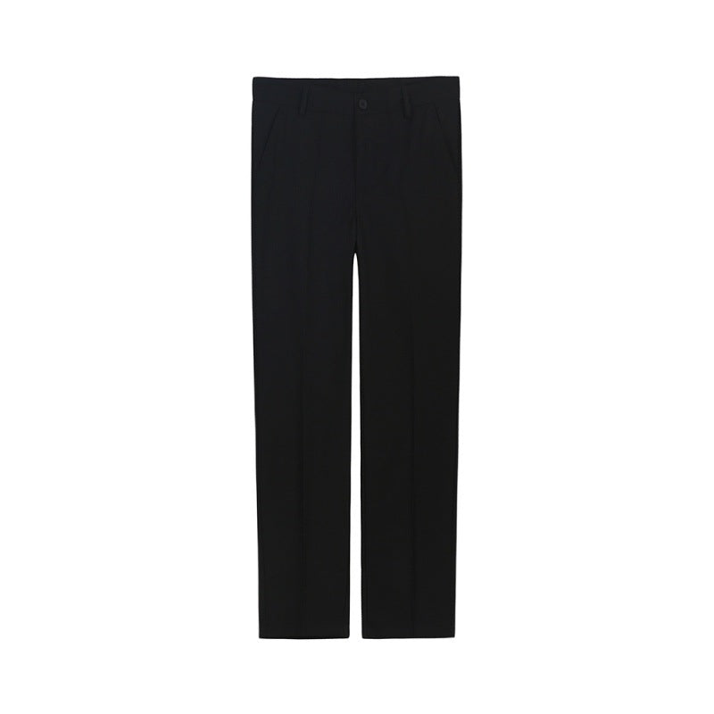 Business Slim Fit Dress Pants